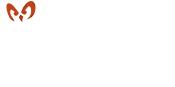 WebOwls Logo